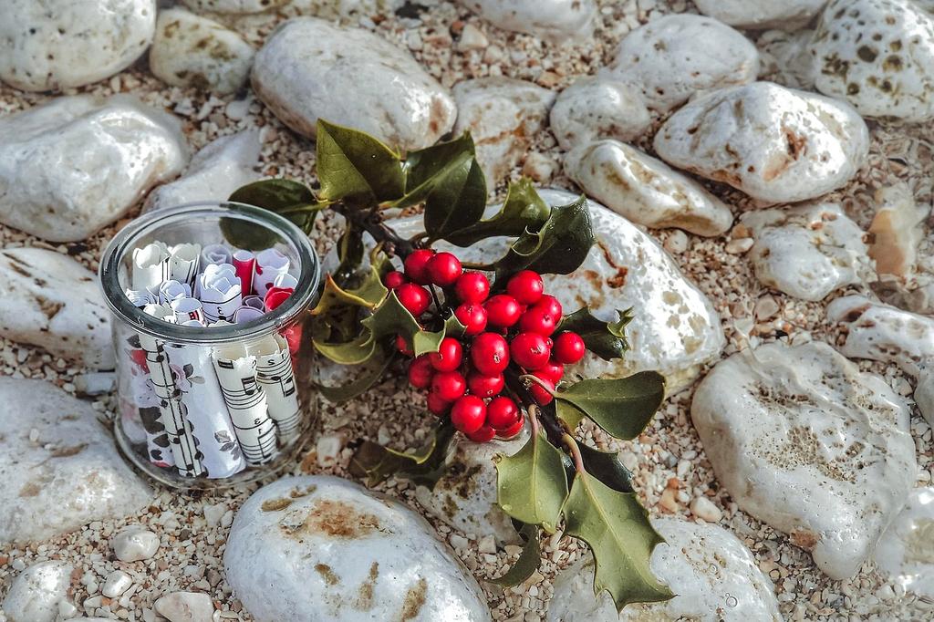 Advanced biometric scanning icon